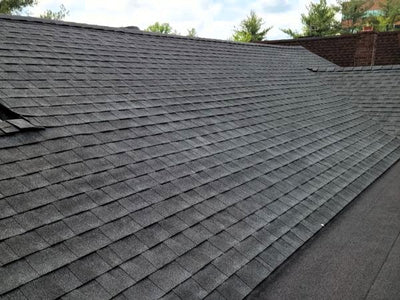 Timberline Natural Shadow Charcoal Algae Resistant Architectural Shingles (33.33 sq. ft. per Bundle) (21-pieces)