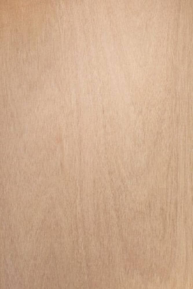 ReliaBilt 32-in x 80-in Brown/Unfinished Solid Core Unfinished Lauan Wood Slab Door