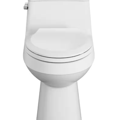 Colony 1-Piece 1.28 GPF Single Flush Elongated Toilet in White, Seat Included