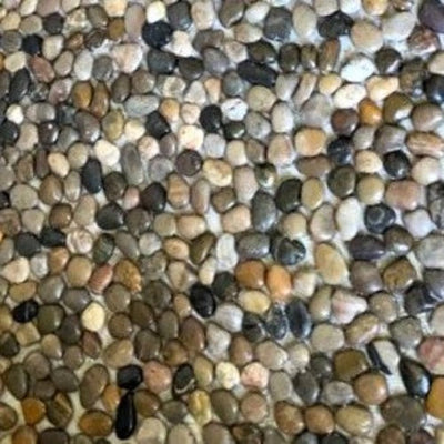12 in. x 12 in. Mixed Mid-Polish Pebble Stone Floor and Wall Tile (5.0 sq. ft. / case)