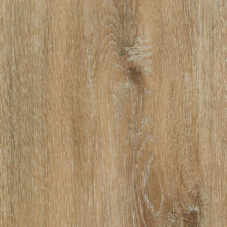 A single green leaf against a white background.