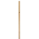 (Common: 1-in x 10-in x 10-ft; Actual: 0.75-in x 9.25-in x 10-ft) Whitewood Board