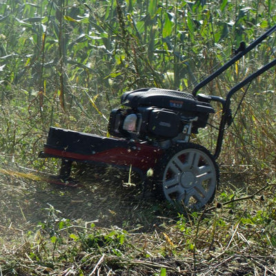 Southland 22 in. 150cc Walk Behind OHV Gas String Trimmer Mower