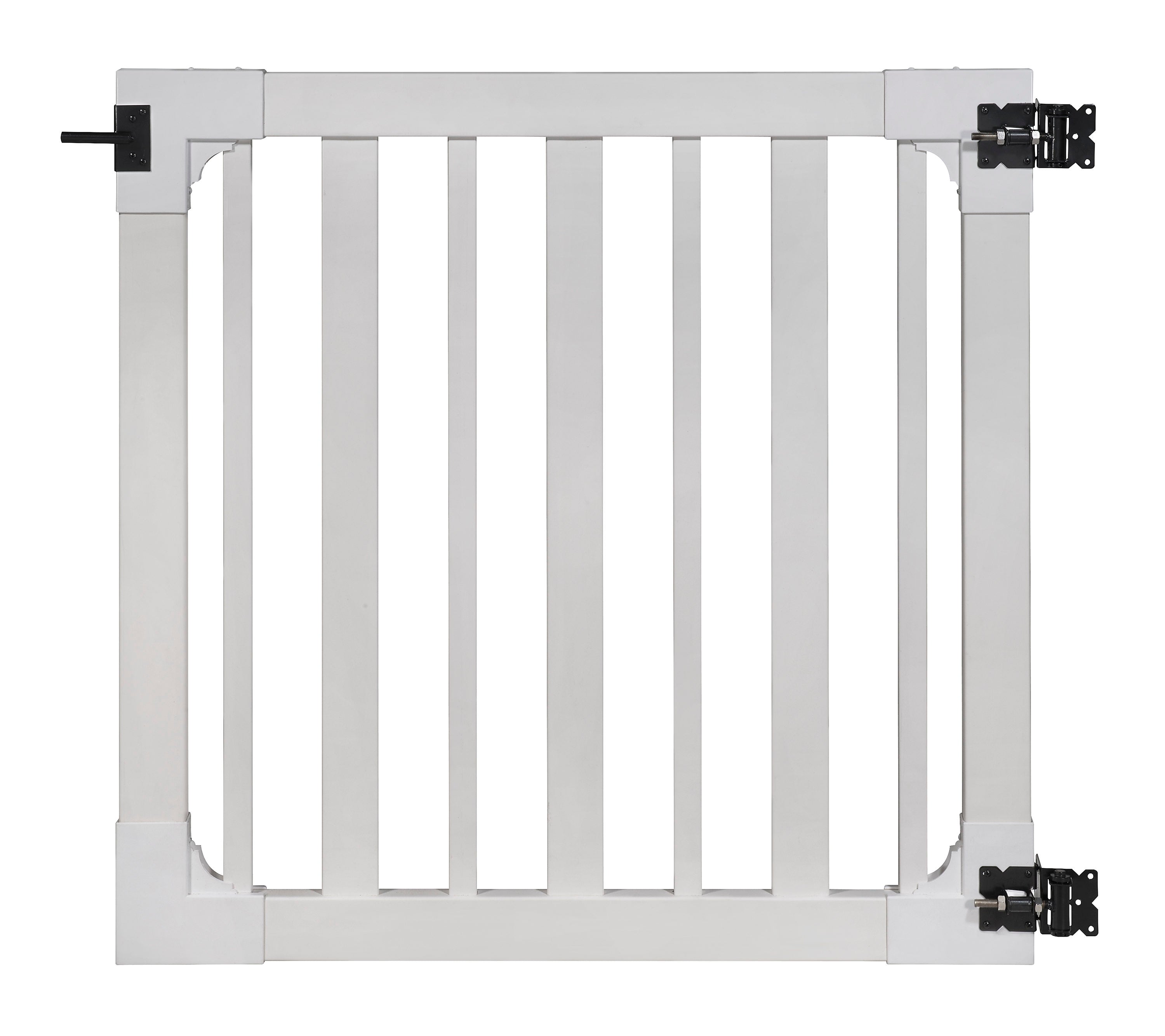 A single green leaf against a white background.