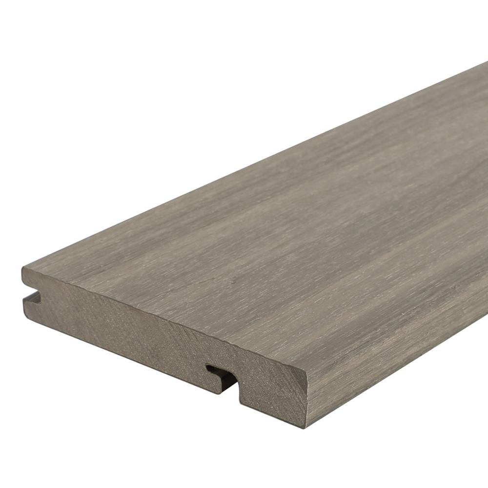 A single green leaf against a white background.