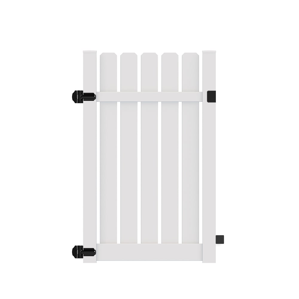 A single green leaf against a white background.