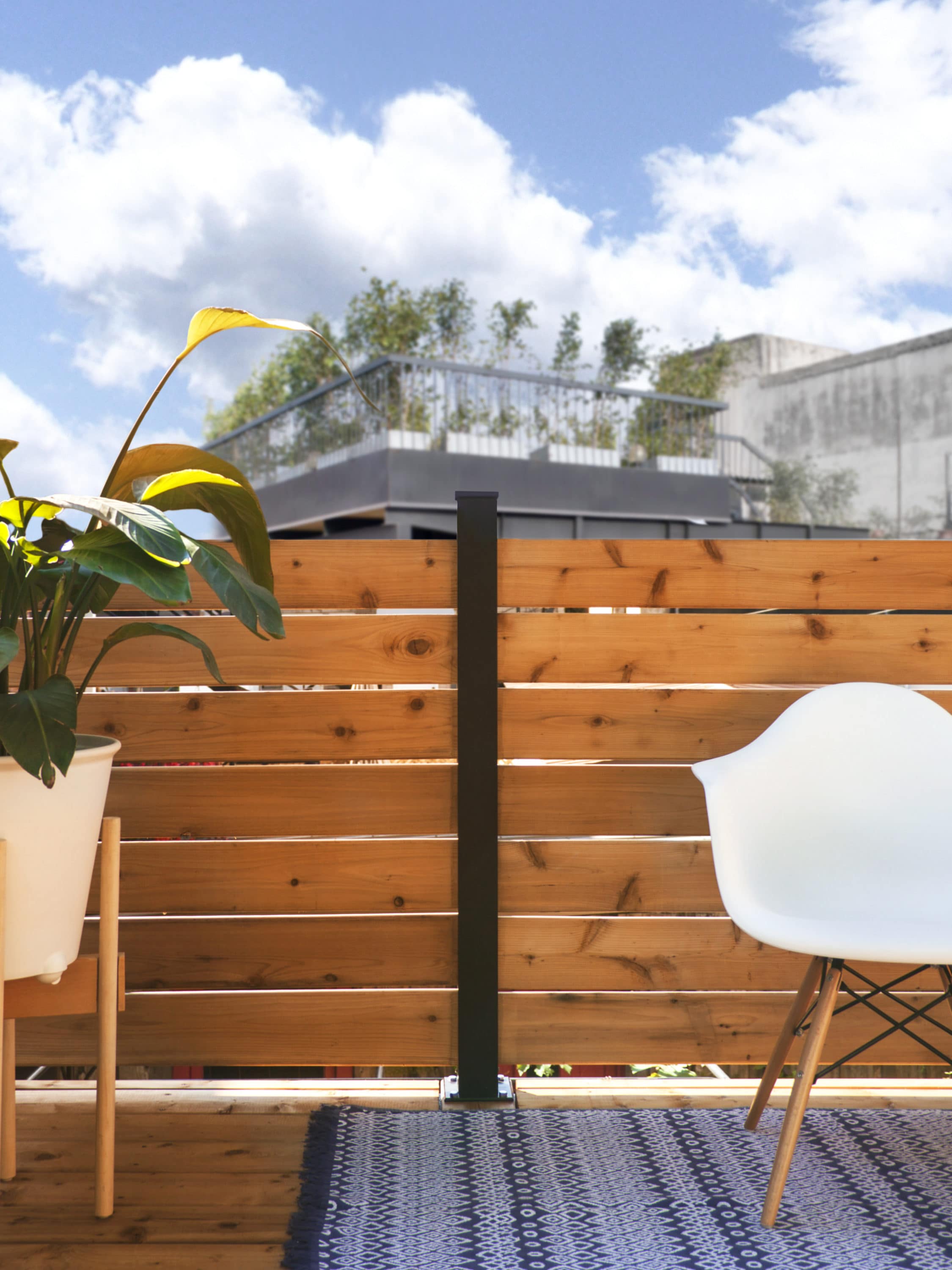 A single green leaf against a white background.