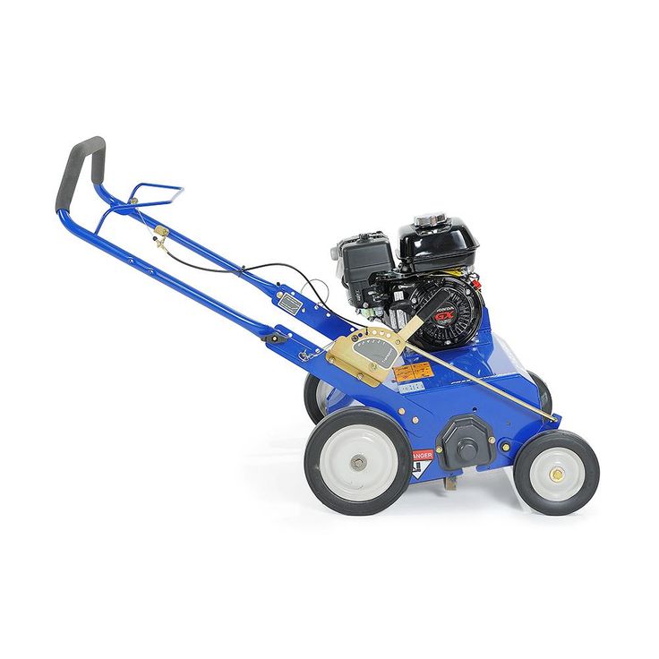 BLUEBIRD 22 in. 5.5 HP Gas Powered Power Rake-Dethatcher with