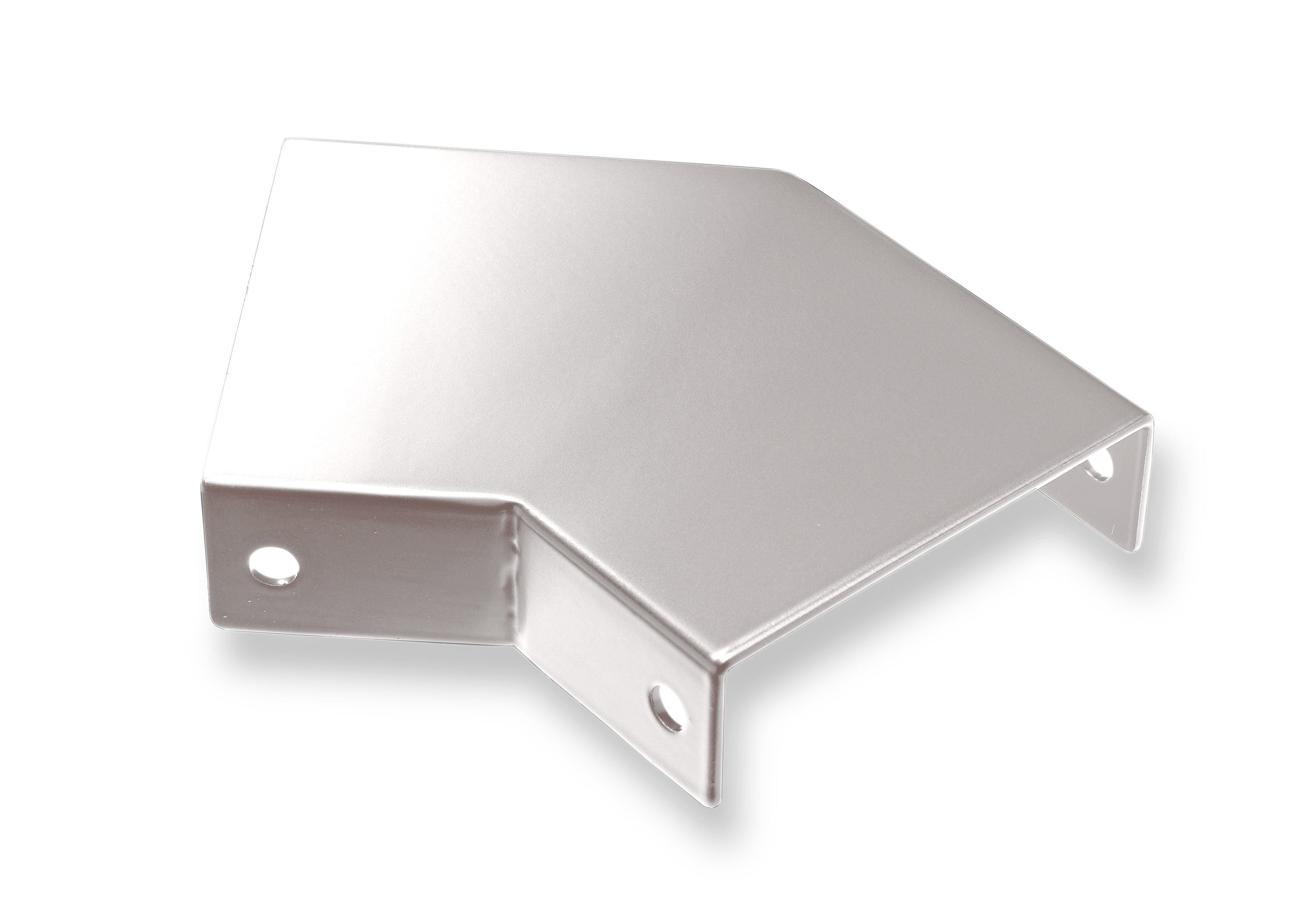 A single green leaf against a white background.