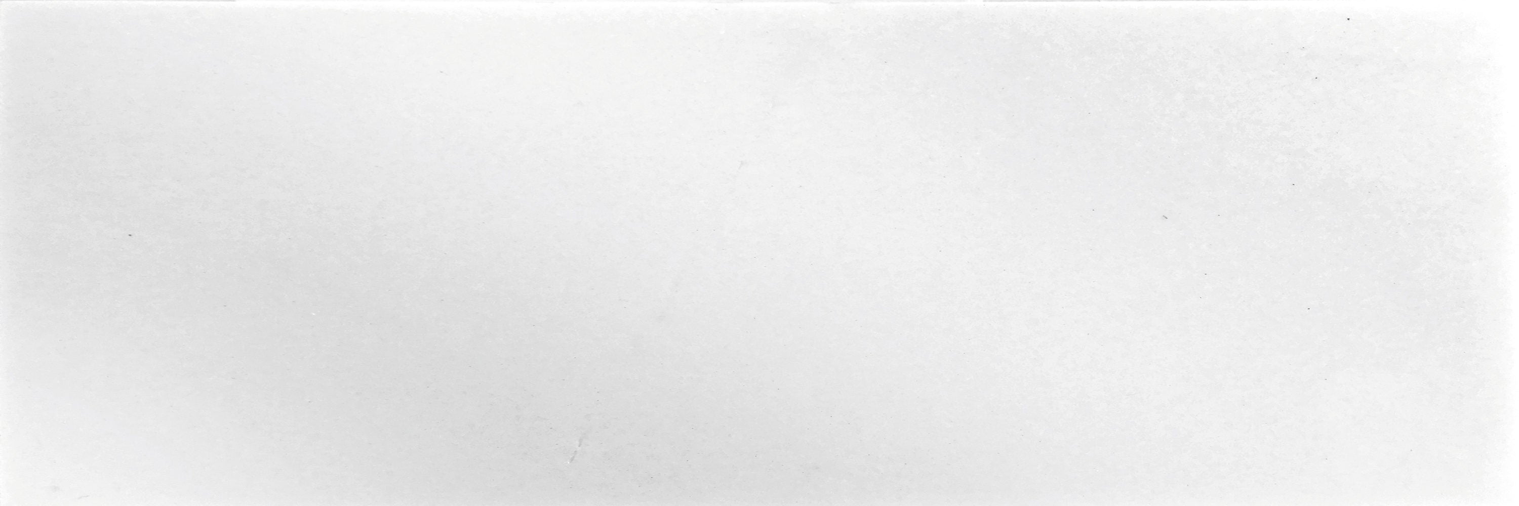 A single green leaf against a white background.