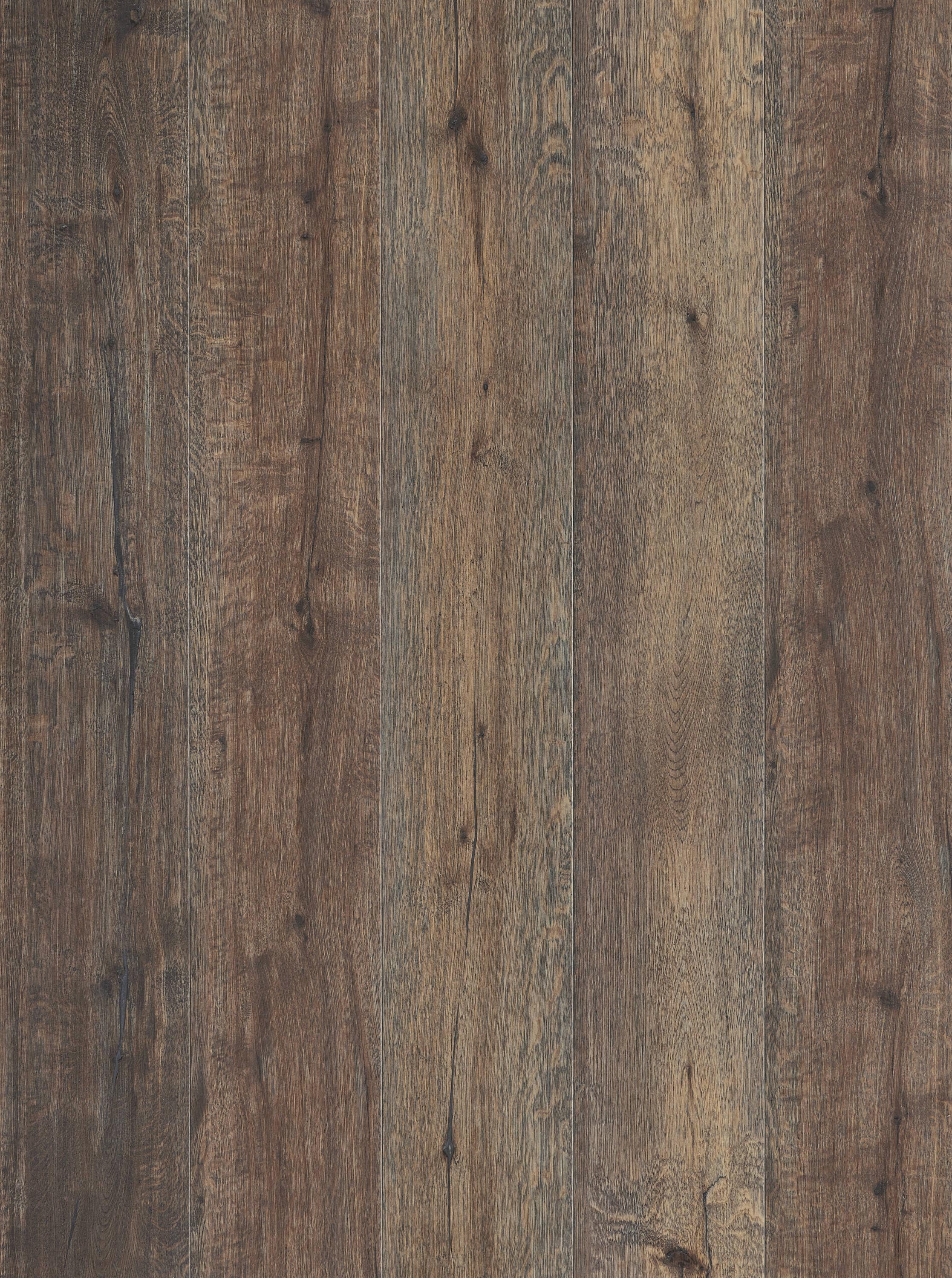 STAINMASTER PetProtect Brier Mushroom