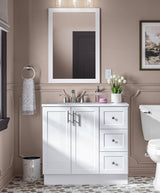 Style Selections Davies 36-in White Single Sink Bathroom Vanity with White Cultured Marble Top (Mirror Included)