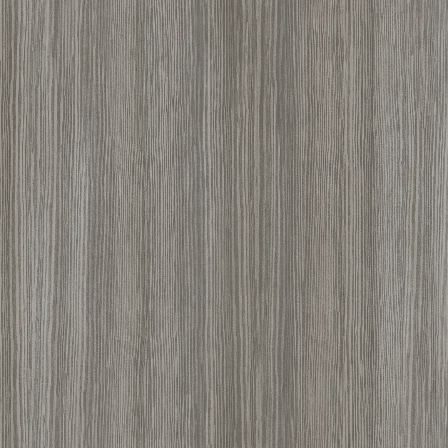 A single green leaf against a white background.