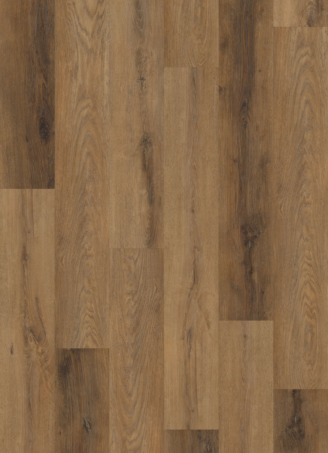 STAINMASTER PetProtect Wendover Brown Oak 20-mil x 7-in W x 48-in