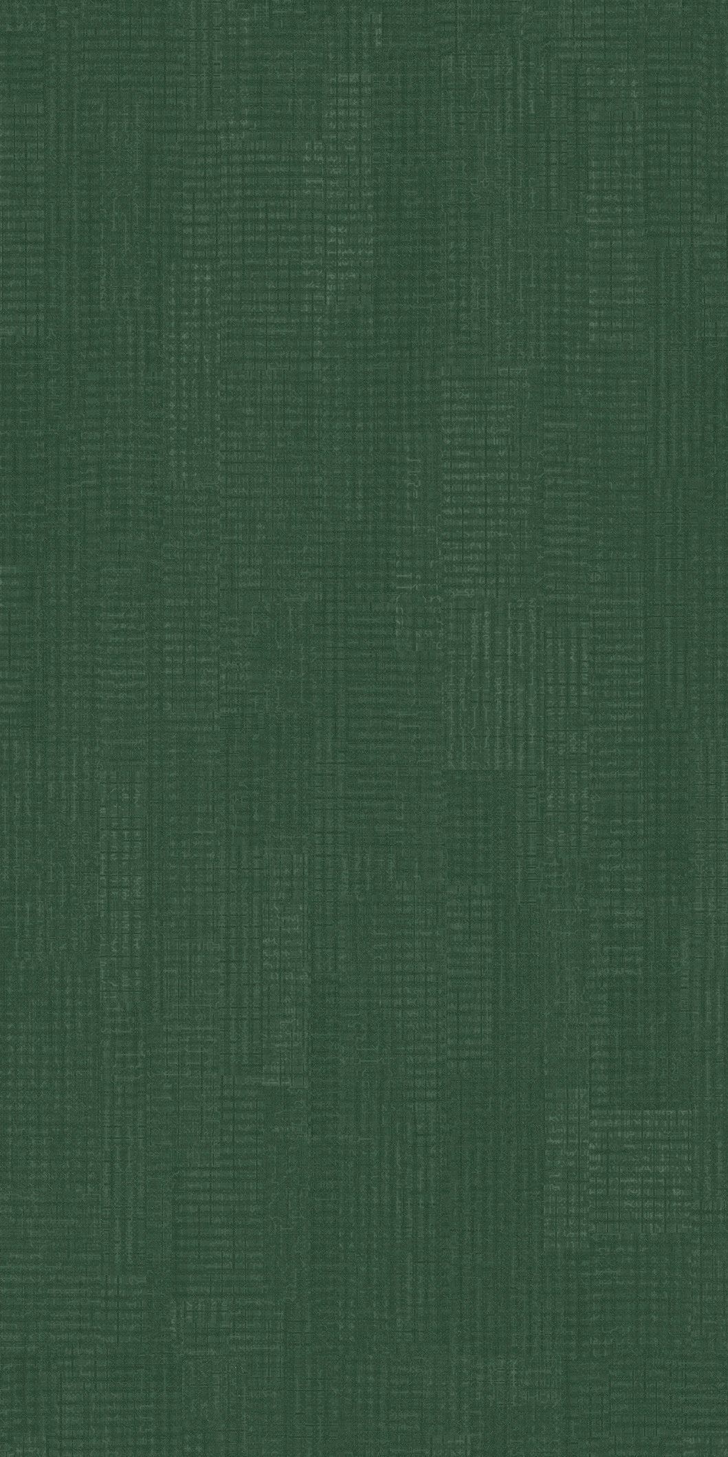 A single green leaf against a white background.