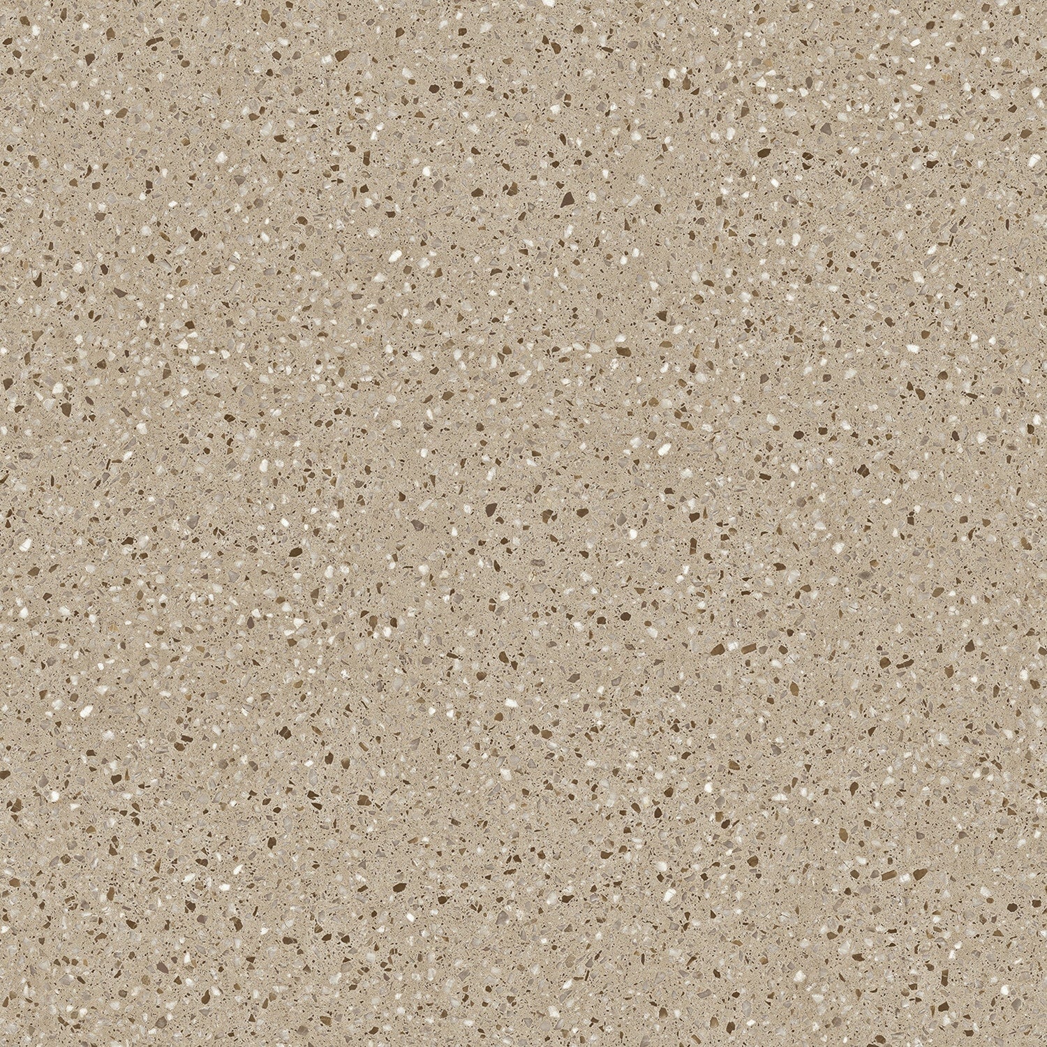 A single green leaf against a white background.