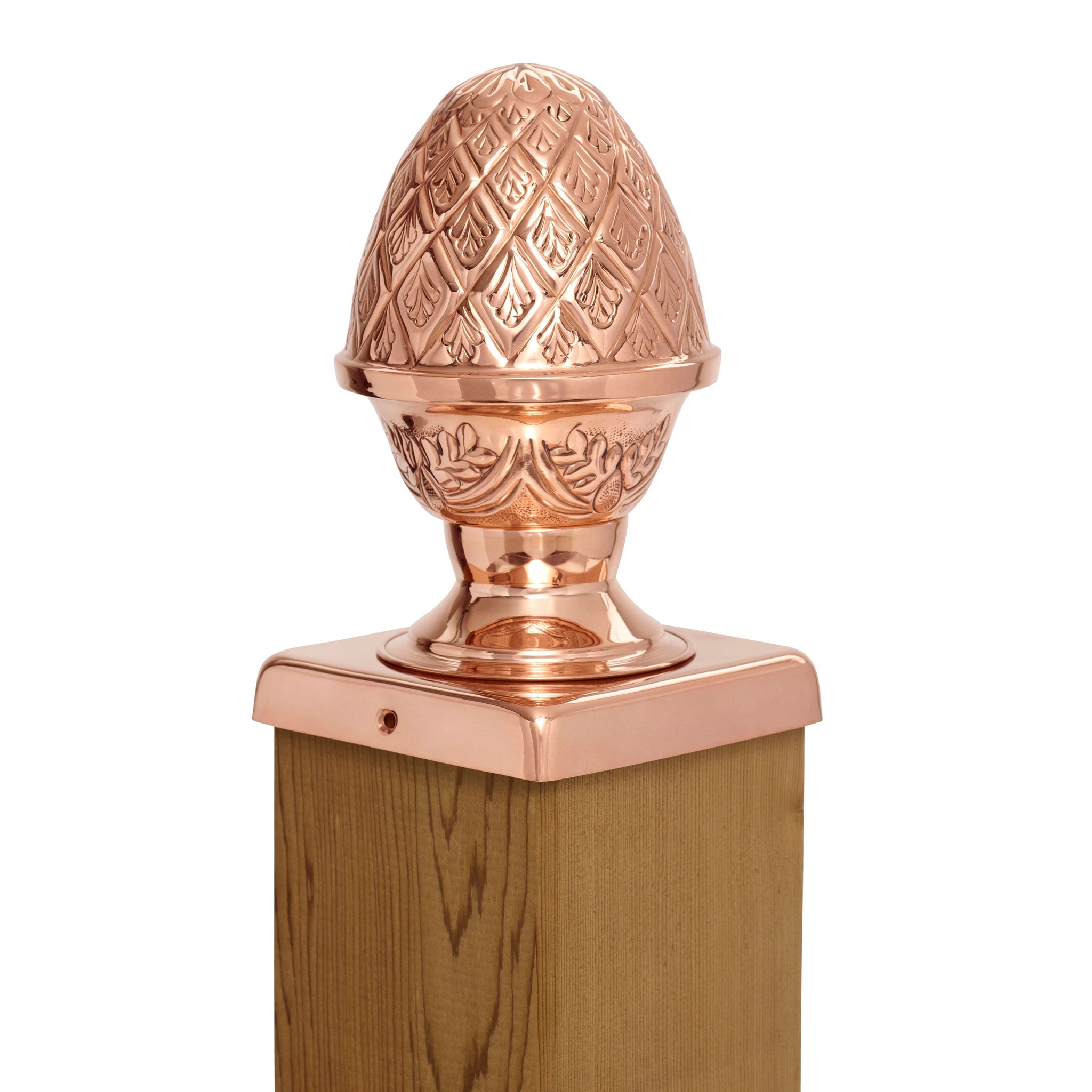 A single green leaf against a white background.