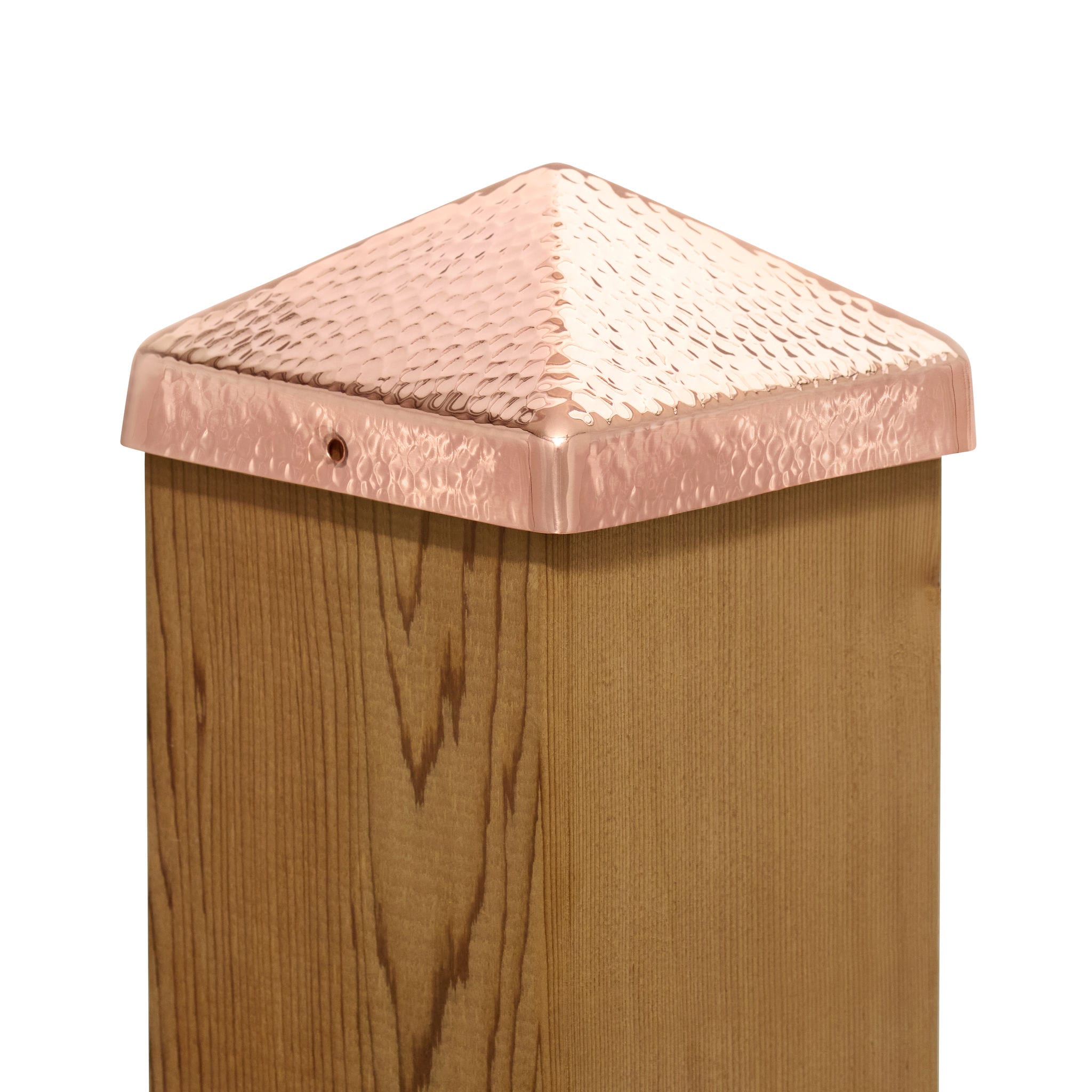 A single green leaf against a white background.