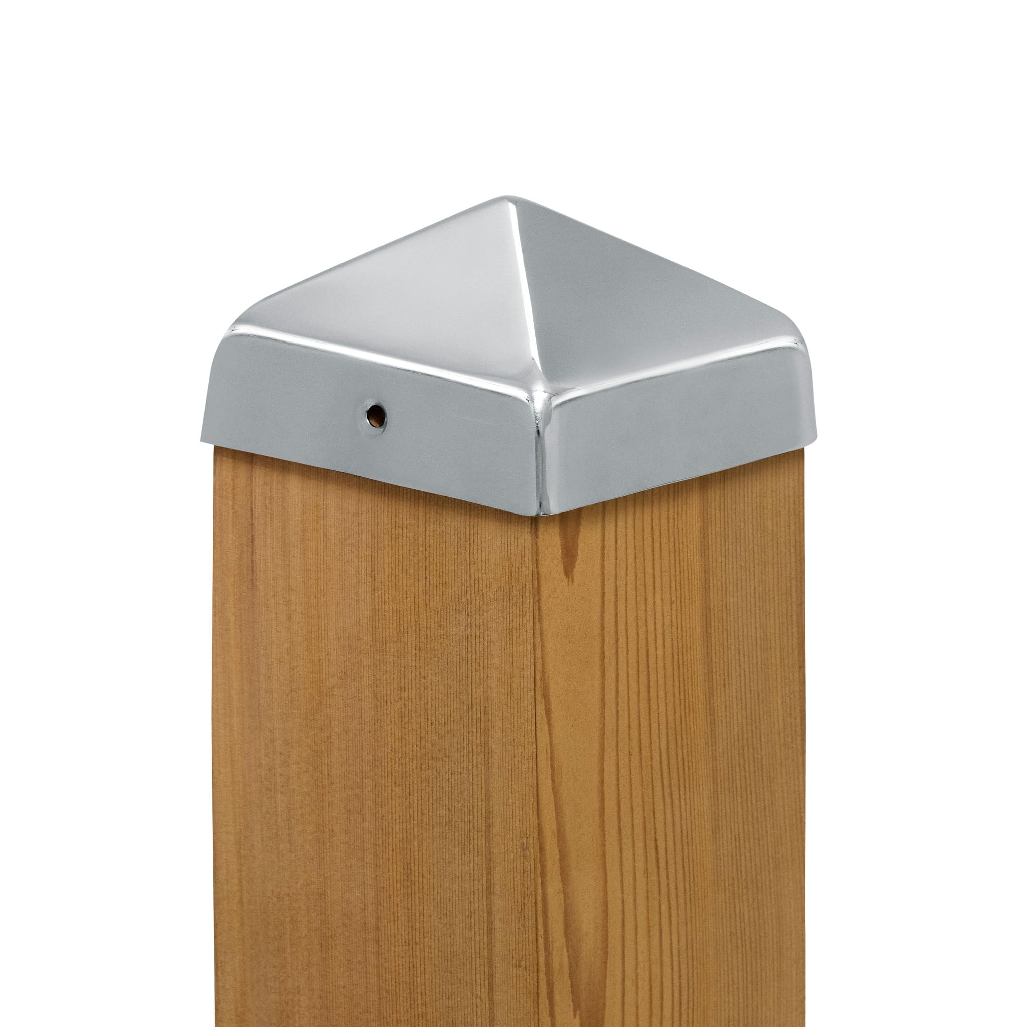 A single green leaf against a white background.