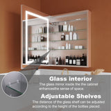 ExBrite Opale 24-in x 30-in Lighted LED Fog Free Surface/Recessed Mount Silver- 30"h- Left Mirrored Soft Close Medicine Cabinet with Outlet