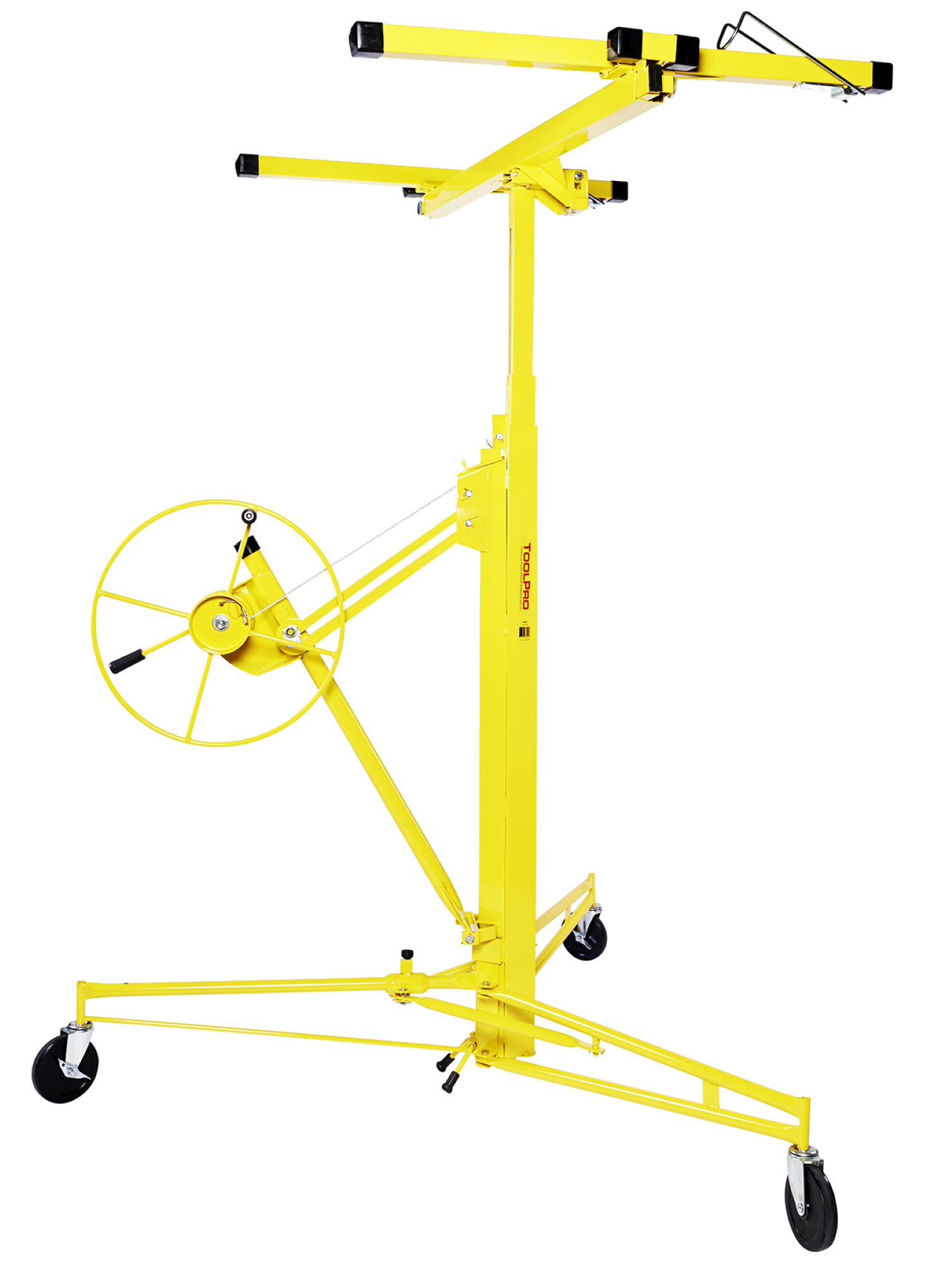 A single green leaf against a white background.