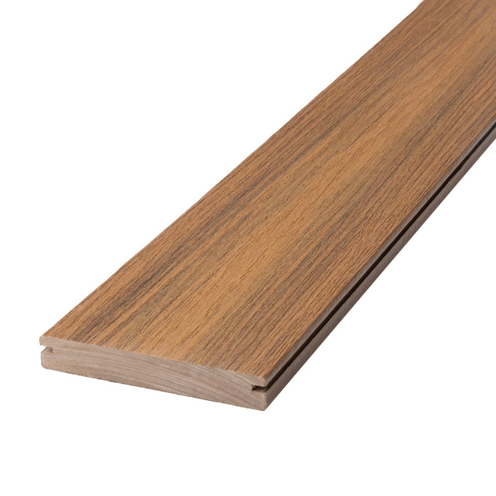 A single green leaf against a white background.