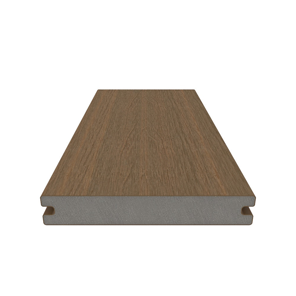 A single green leaf against a white background.