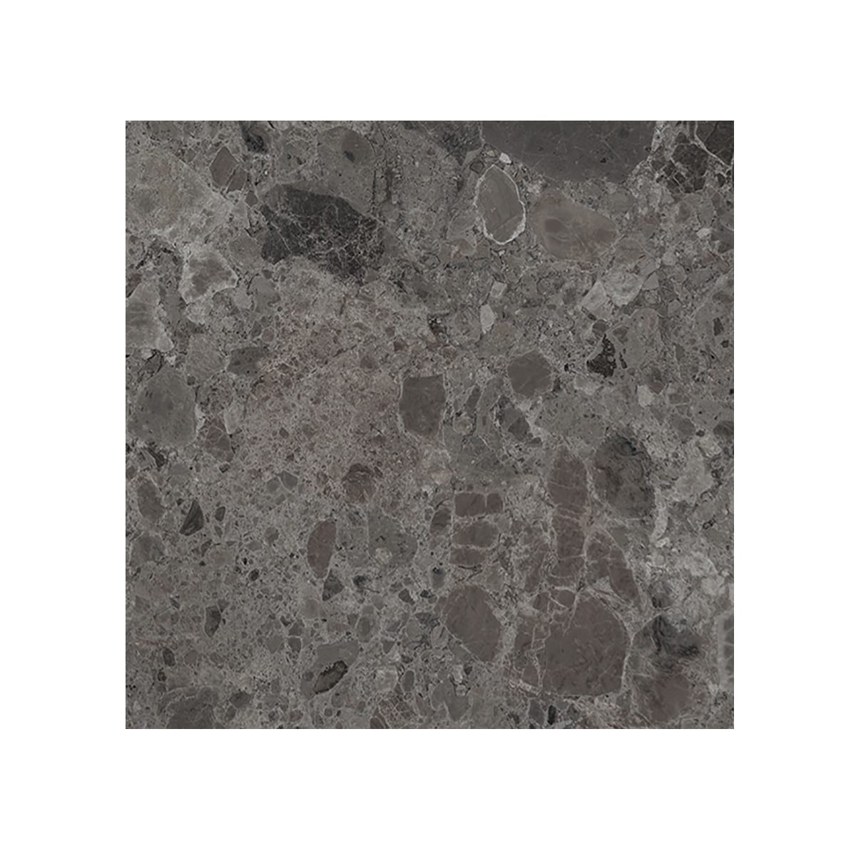 Giorbello (Sample) Ambience Terrazzo Deep Gray 24-in x 24-in Matte Por ...