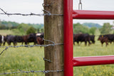 Tarter 4-ft H x 18-ft W Galvanized Steel Corral Flat-top Farm Fence Gate