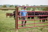 Tarter 4-ft H x 18-ft W Galvanized Steel Corral Flat-top Farm Fence Gate