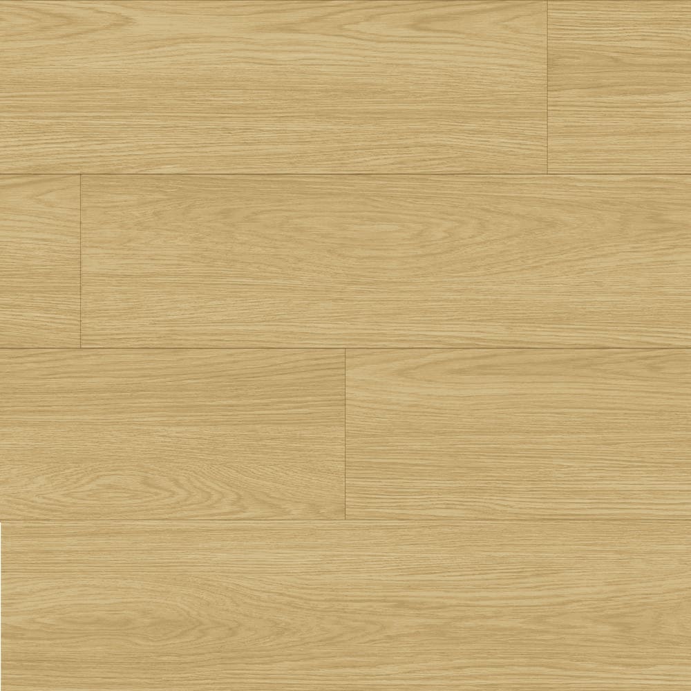 A single green leaf against a white background.