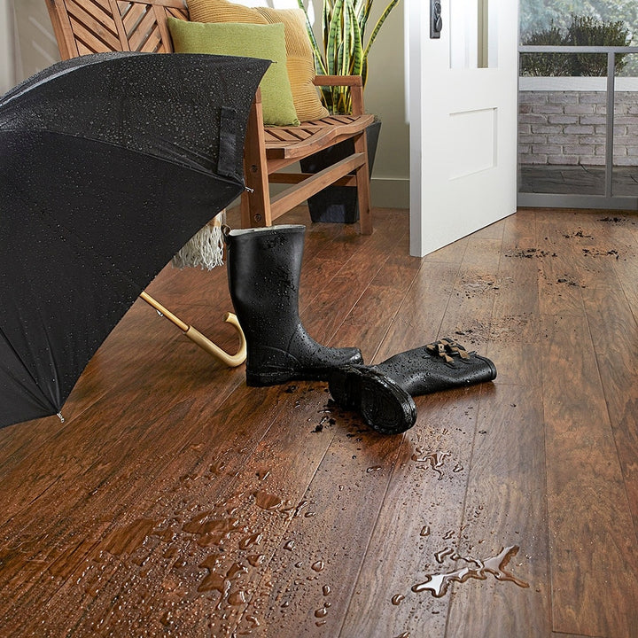 QuickStep Studio + Spill Repel Toasted Chestnut 4.85-in W x 3.93