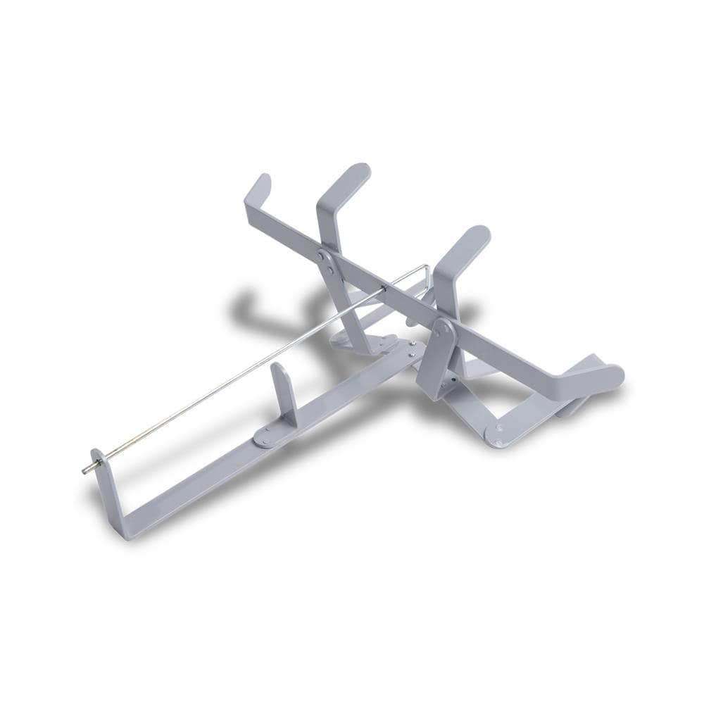 A single green leaf against a white background.