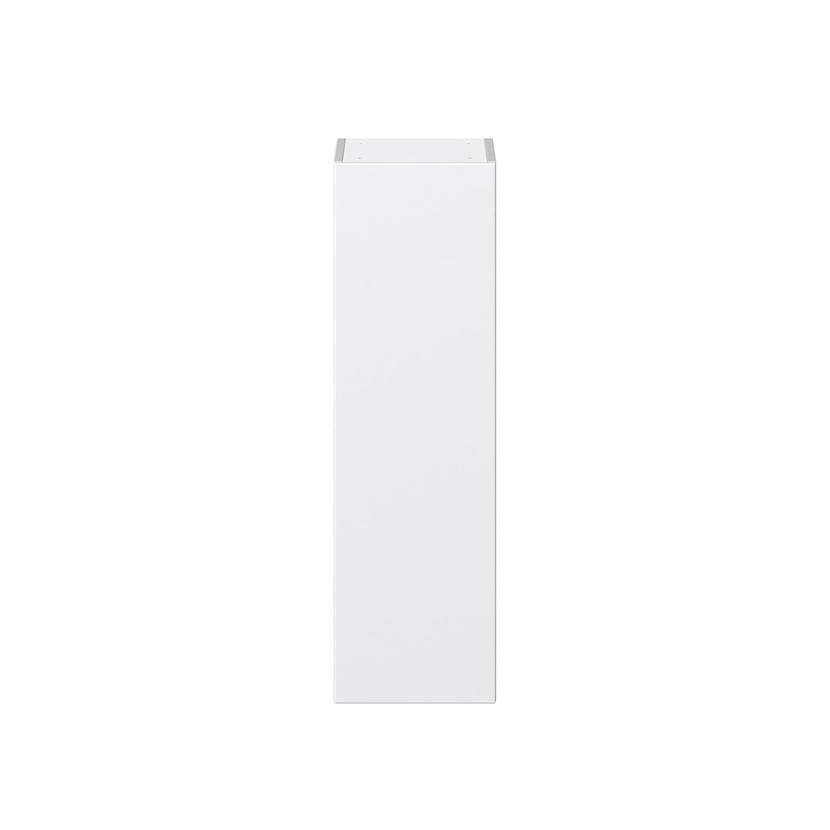 Hugo&Borg Lasalle 12-in W x 40-in H x 14-in D Bright White Slab Wall Fully Assembled Cabinet (Flat Panel Slab Door Style)