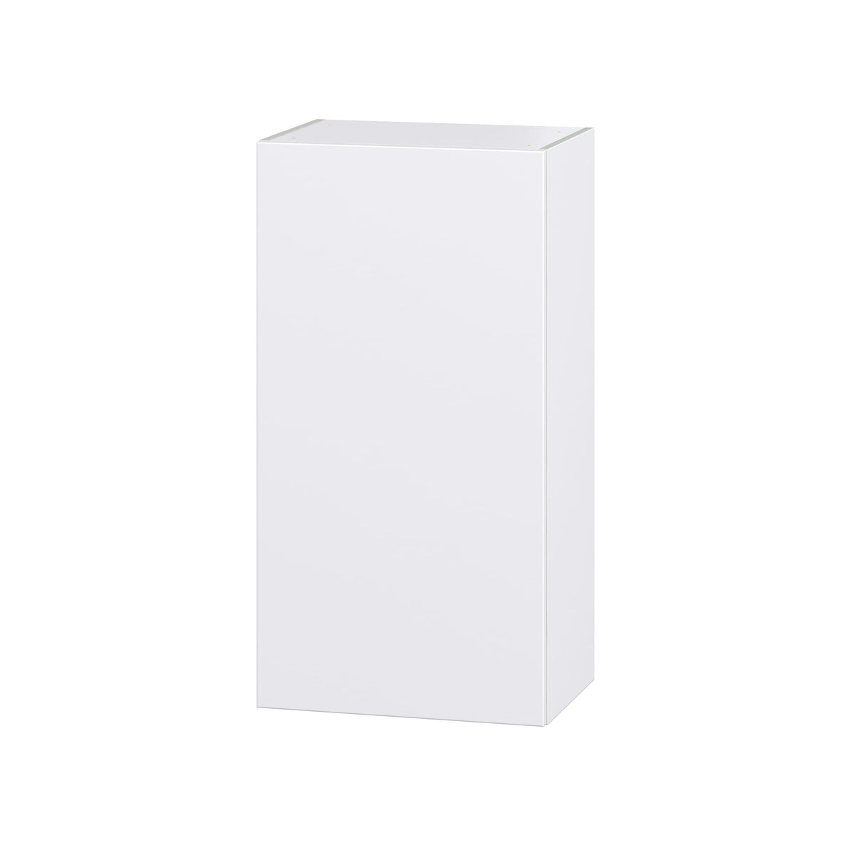 Hugo&Borg Lasalle 21-in W x 40-in H x 14-in D Bright White Slab Wall Fully Assembled Cabinet (Flat Panel Slab Door Style)