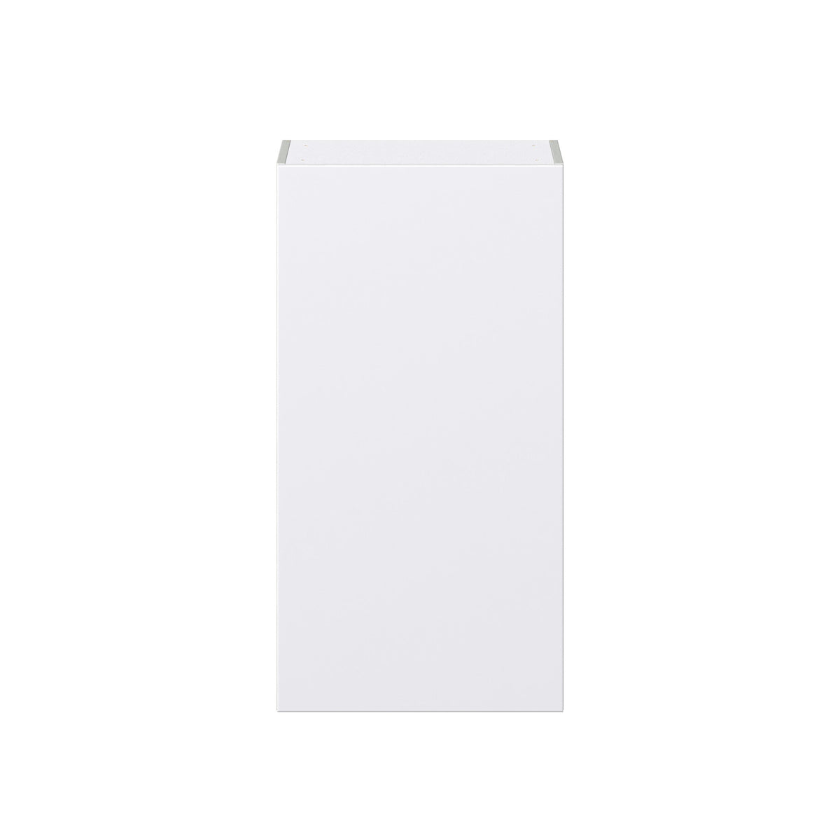 Hugo&Borg Lasalle 21-in W x 40-in H x 14-in D Bright White Slab Wall Fully Assembled Cabinet (Flat Panel Slab Door Style)