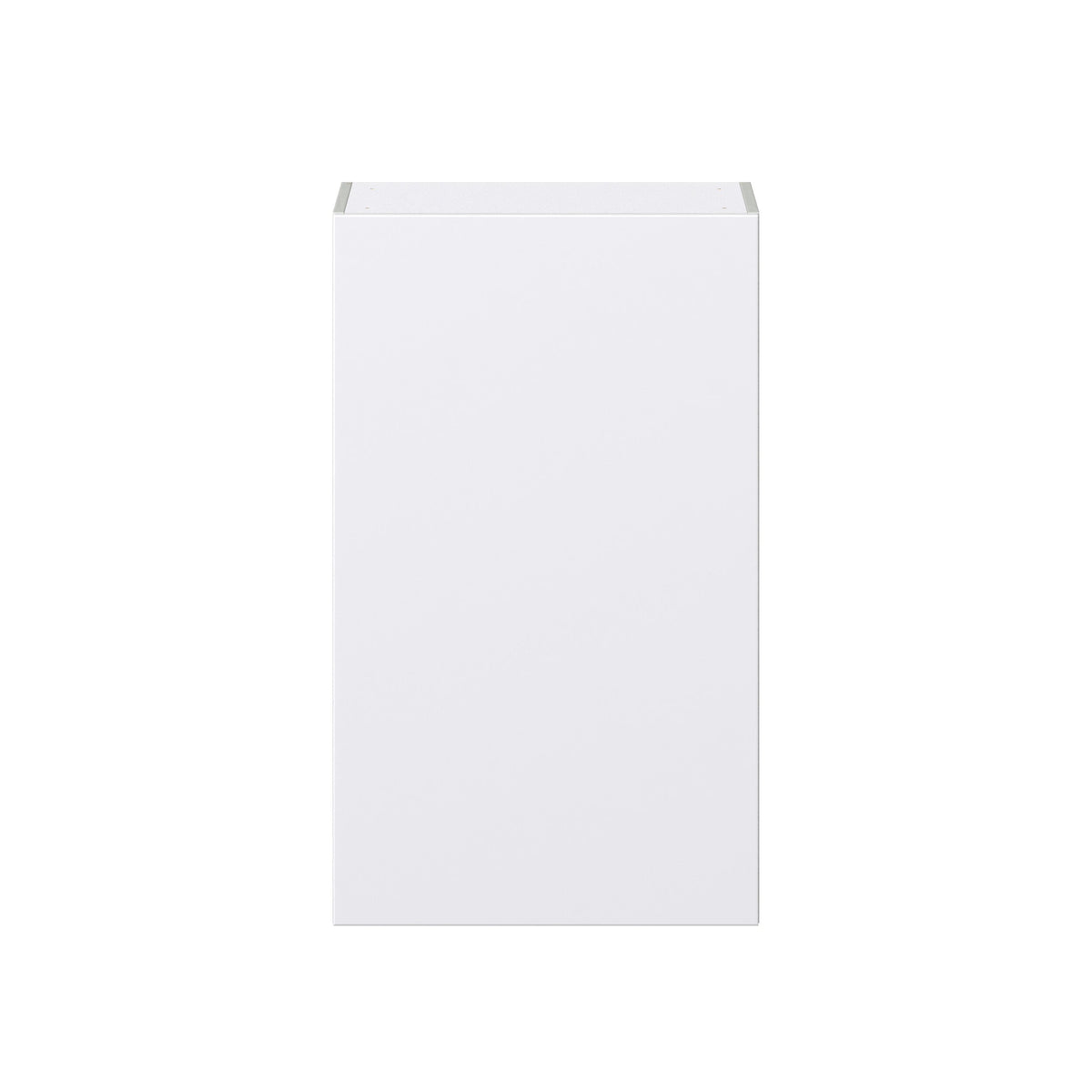 Hugo&Borg Lasalle 24-in W x 40-in H x 14-in D Bright White Slab Wall Fully Assembled Cabinet (Flat Panel Slab Door Style)