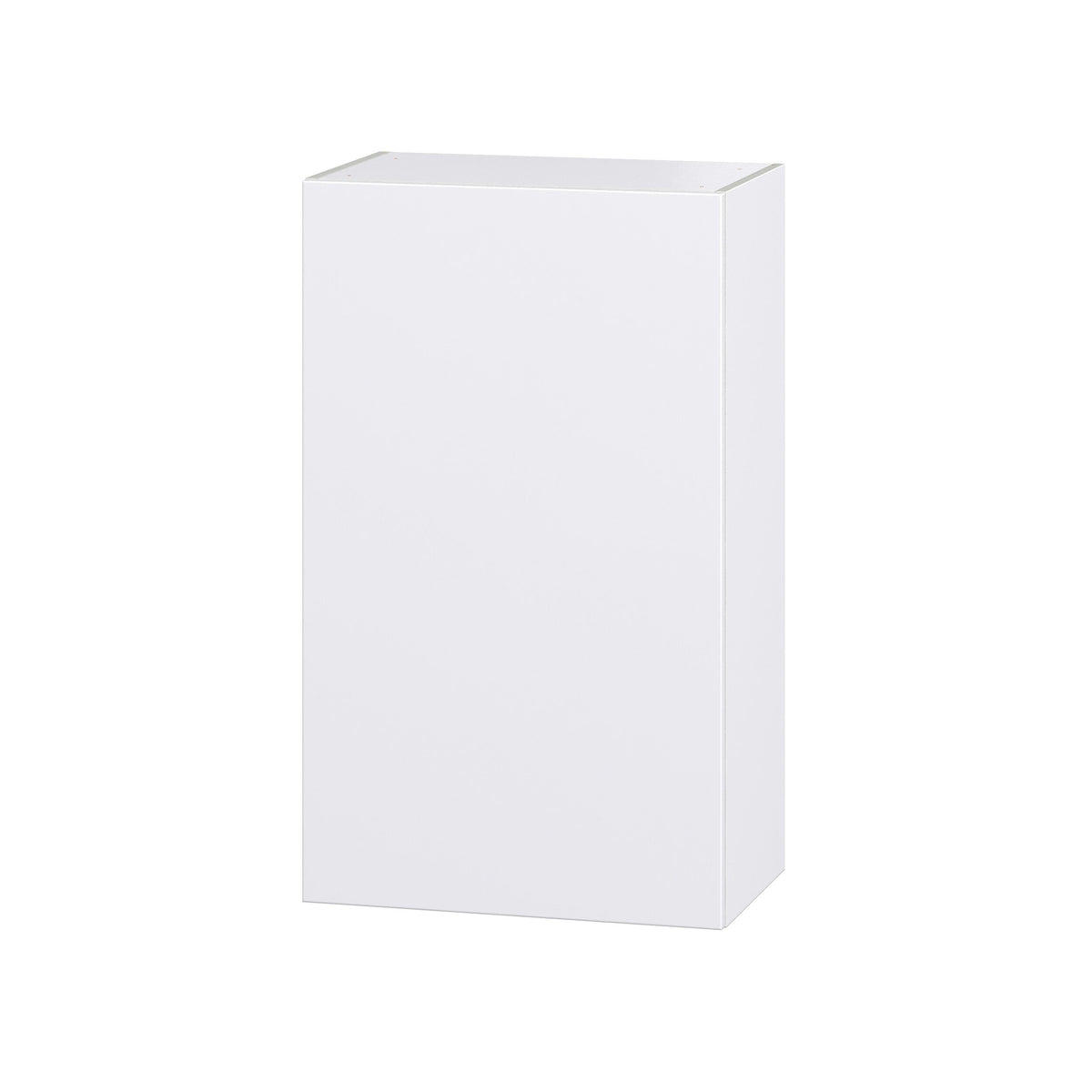 Hugo&Borg Lasalle 24-in W x 40-in H x 14-in D Bright White Slab Wall Fully Assembled Cabinet (Flat Panel Slab Door Style)