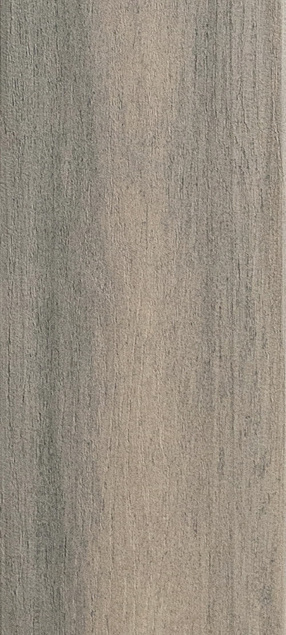 A single green leaf against a white background.