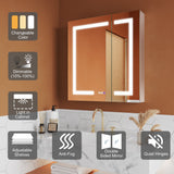 ExBrite Opale 28-in x 30-in Lighted LED Fog Free Surface/Recessed Mount Silver- 30"h Mirrored Soft Close Medicine Cabinet with Outlet