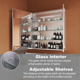 ExBrite Opale 28-in x 30-in Lighted LED Fog Free Surface/Recessed Mount Silver- 30"h Mirrored Soft Close Medicine Cabinet with Outlet