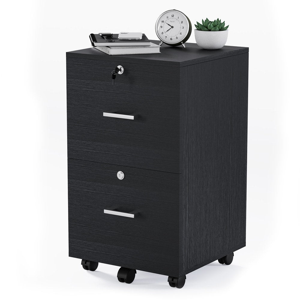 Winado Black 2-Drawer 15.75-in File Cabinet – Super Arbor