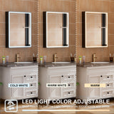 WELLFOR W12 60-in x 30-in Lighted LED Fog Free Surface/Recessed Mount Anodized Black Aluminum Mirrored Soft Close Medicine Cabinet with Outlet