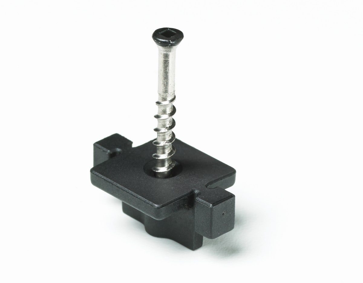 A single green leaf against a white background.