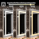 WELLFOR V11 24-in x 36-in Lighted LED Fog Free Surface/Recessed Mount Silver Mirrored Soft Close Medicine Cabinet with Outlet