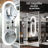 WELLFOR V11 48-in x 36-in Lighted LED Fog Free Surface/Recessed Mount Silver Mirrored Soft Close Medicine Cabinet with Outlet