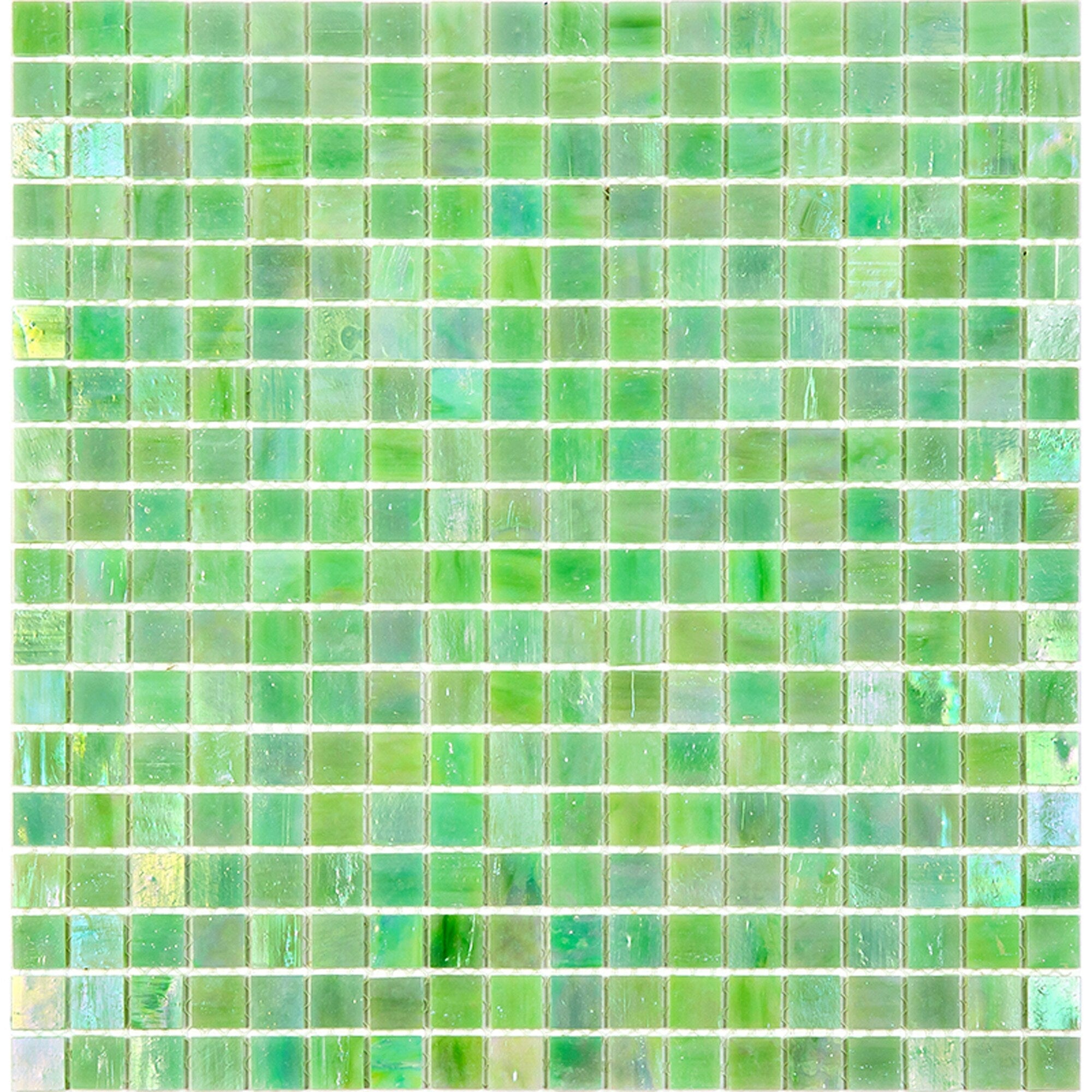 A single green leaf against a white background.