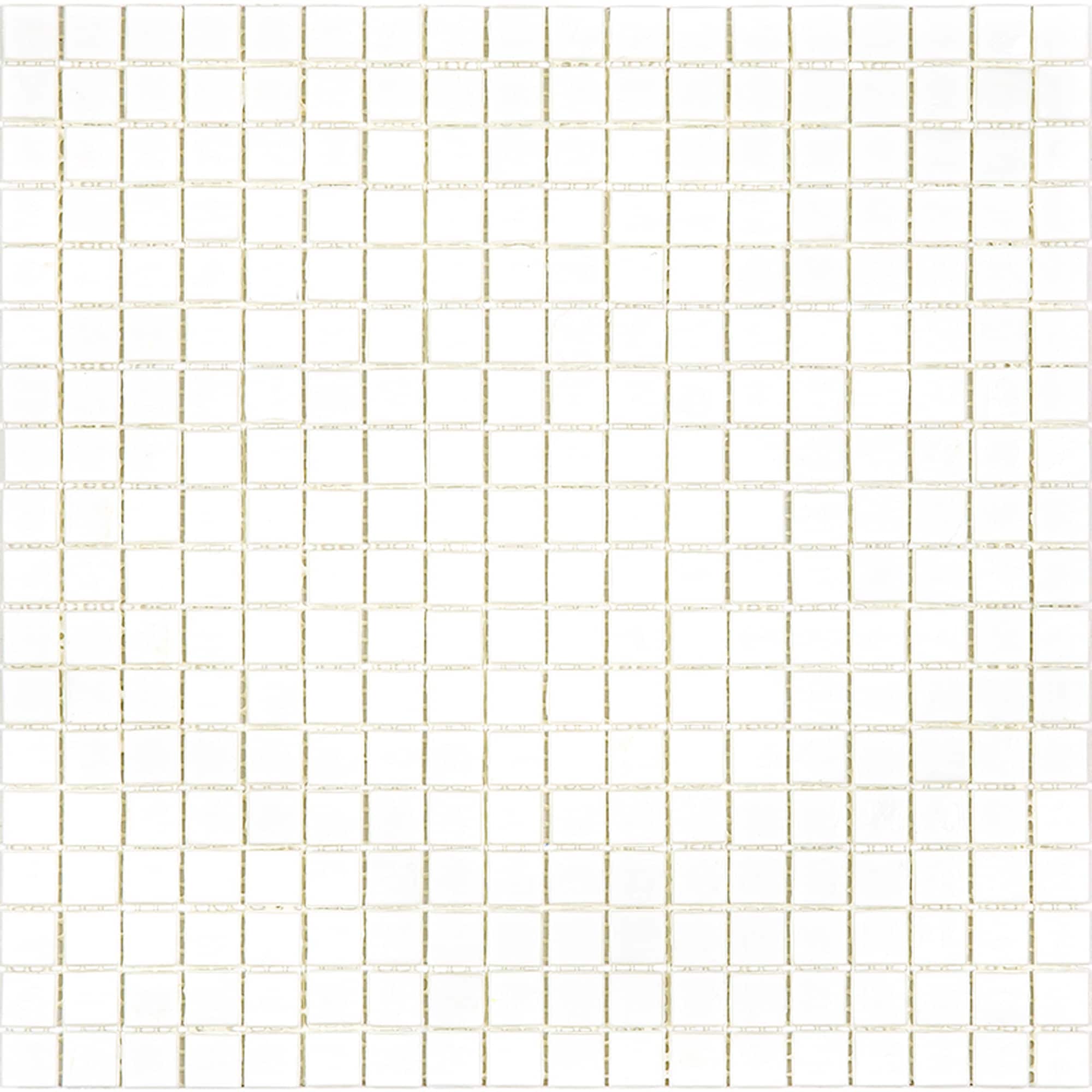 A single green leaf against a white background.