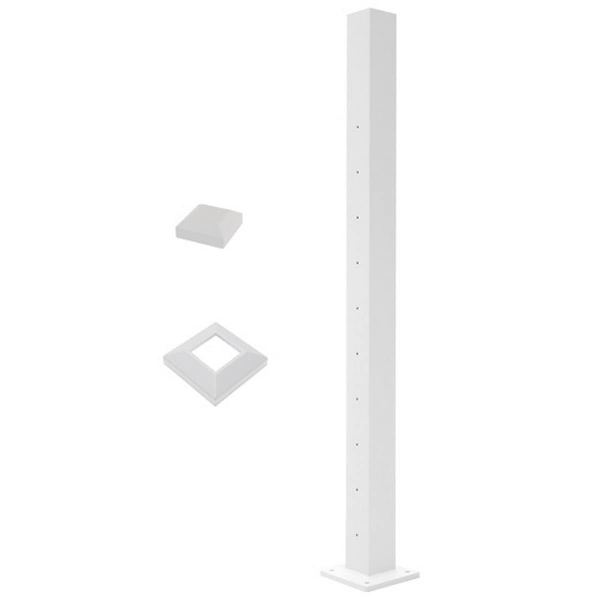 A single green leaf against a white background.