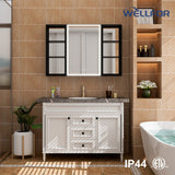 WELLFOR W12 44-in x 30-in Lighted LED Fog Free Surface/Recessed Mount Anodized Black Aluminum Mirrored Soft Close Medicine Cabinet with Outlet